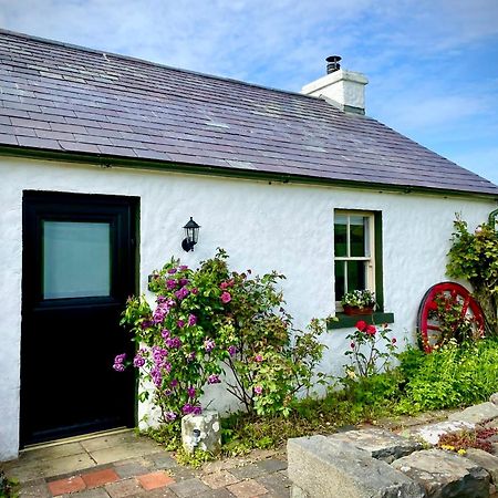 Dunnaglea Cottage, บาลลินทอย ภายนอก รูปภาพ